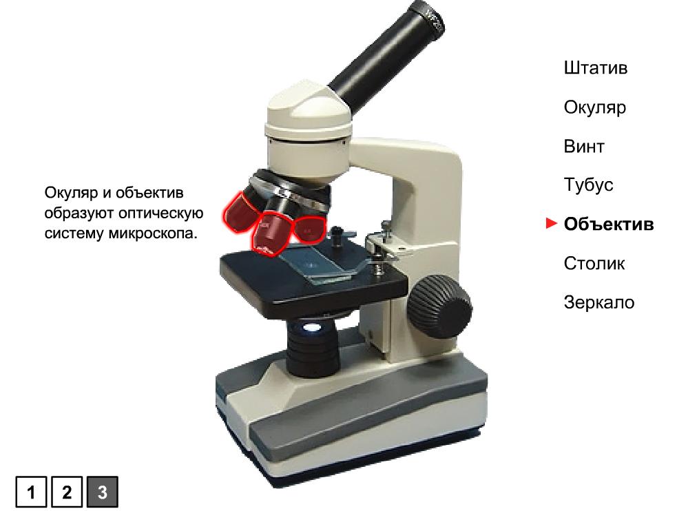 Зачем микроскопу тубус. Цифровой микроскоп окуляр объектив зеркало. Окуляр с тубусом для микроскопа. Окуляры микроскопа Микмед. Иммерсионный Водный объектив микроскопа.